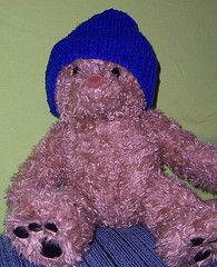 my teddy bear wearing a blue beanie